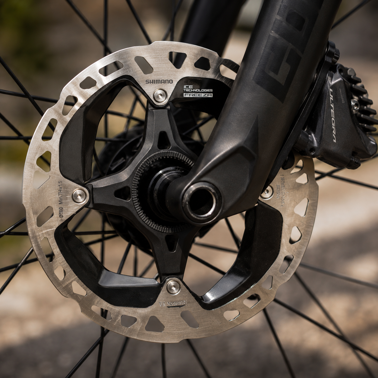 Shimano XTR RT-MT900 160mm Disc Rotor - Center Lock Silver/Black